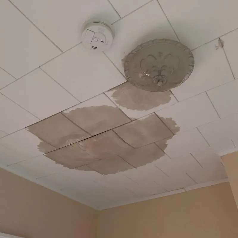 Ceiling Water Damage Repair in Chester Center, CT
