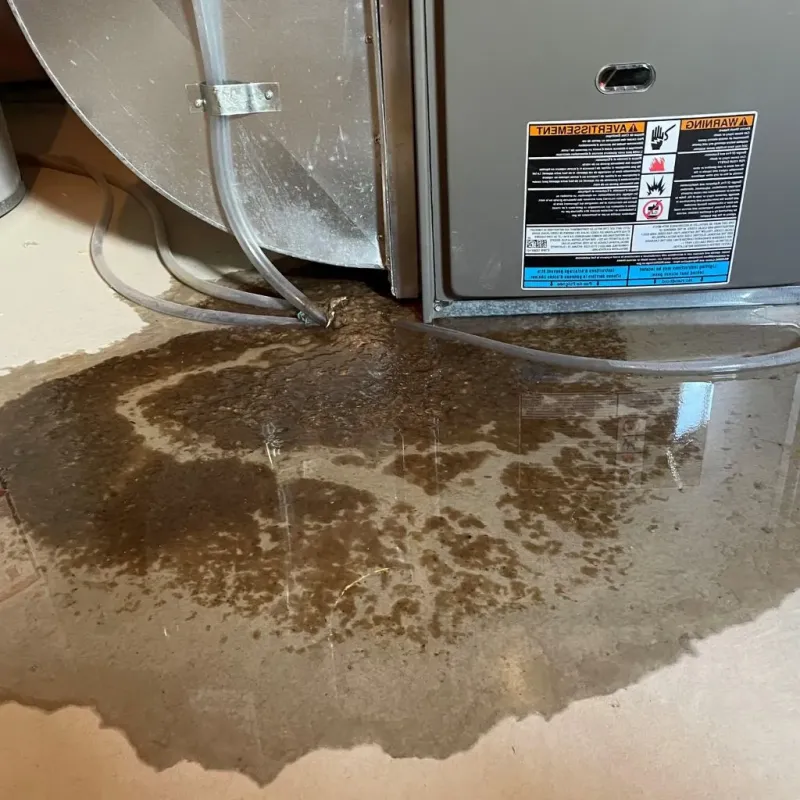 Pipe Burst and Leak Restoration in Chester Center, CT