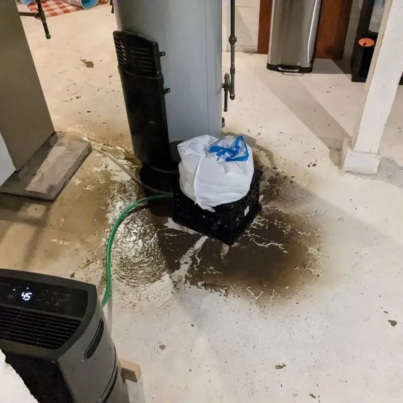 Sewage Backup Cleanup Service in Chester Center, CT